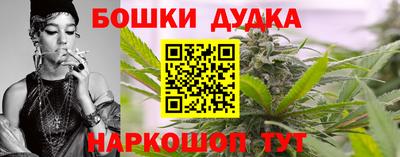 кокс Кингисепп