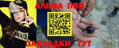 кокс Кингисепп