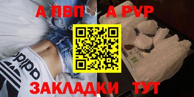кокс Кингисепп