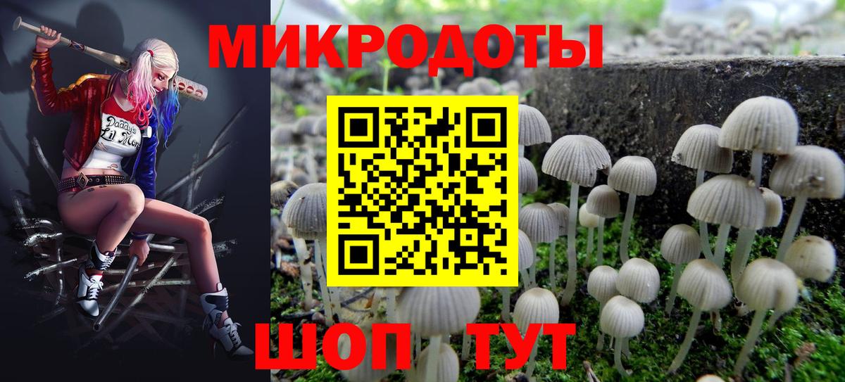 Галлюциногенные грибы Psilocybe Тихорецк