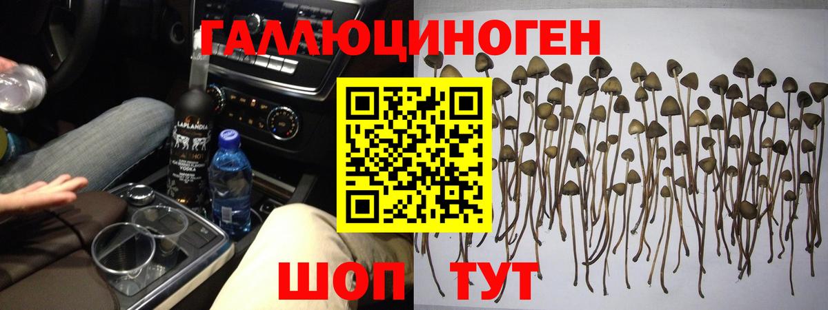 Псилоцибиновые грибы Magic Shrooms  Вход с VPN  Тихорецк 